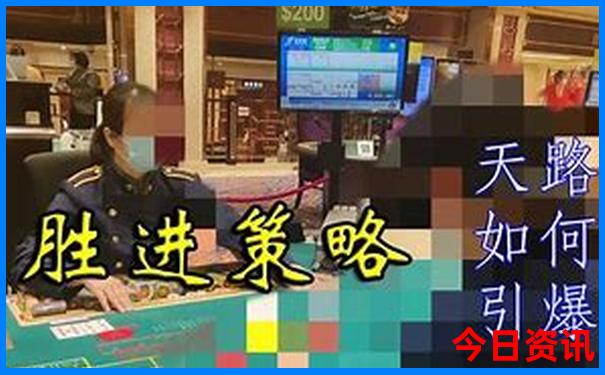 2025澳门精准正版免费四不像