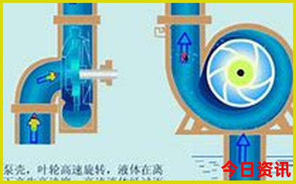 免费资料库大全网站
